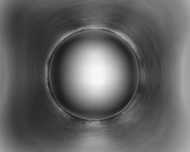 X0000088861006200706081149