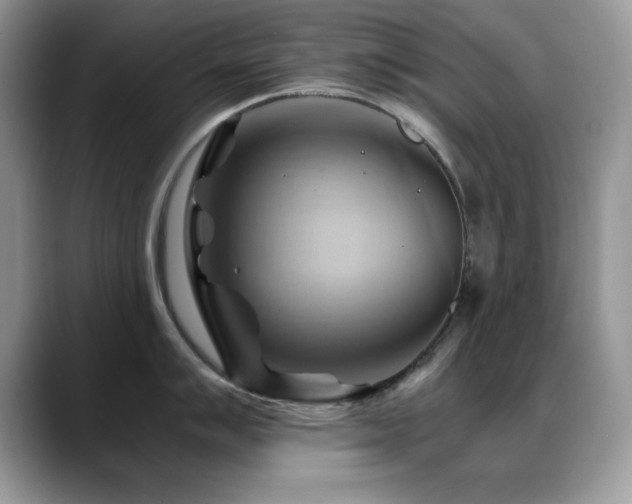 X0000088861007200706081149