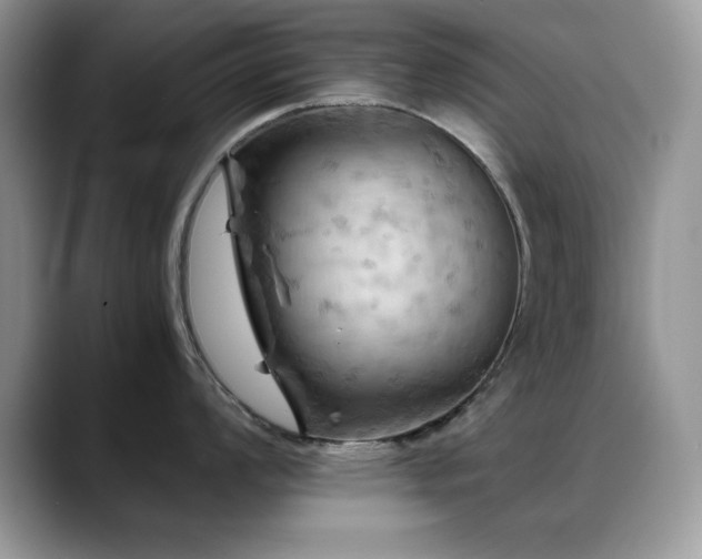 X0000088861008200706081149