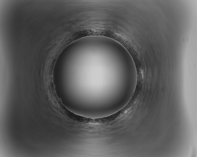 X0000088861009200706081149