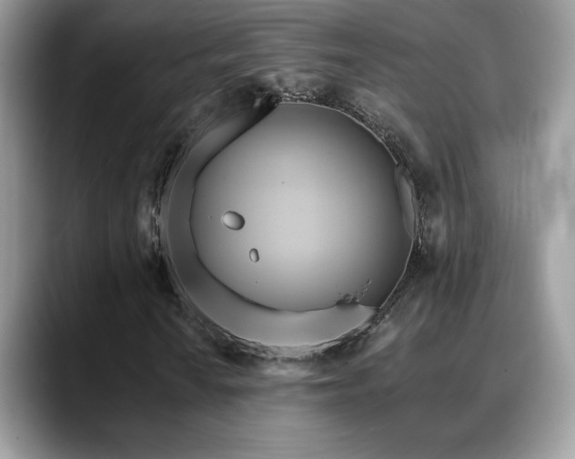 X0000088861010200706081149