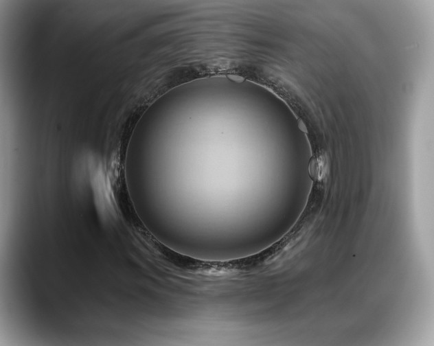 X0000088861011200706081149