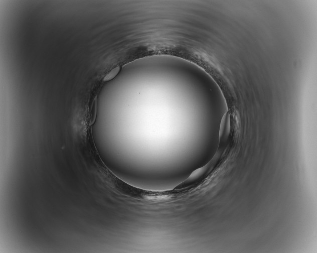 X0000088861012200706081149