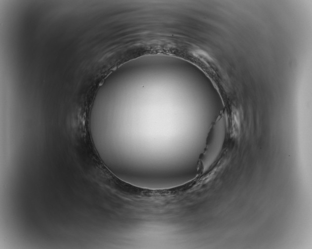 X0000088861013200706081149
