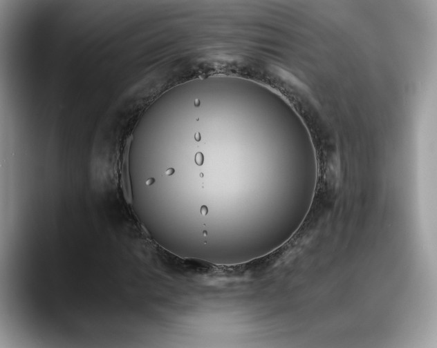X0000088861014200706081149