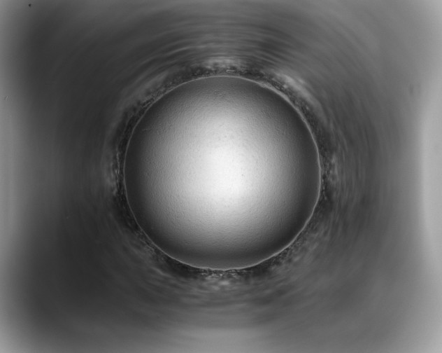 X0000088861015200706081149