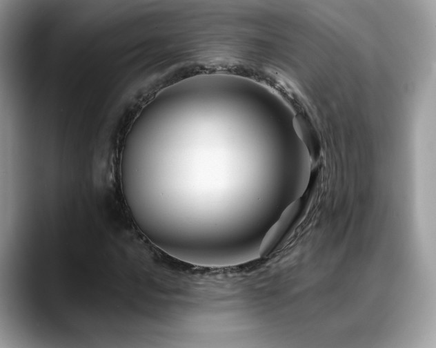 X0000088861016200706081149