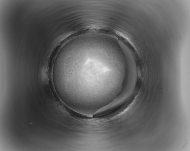 X0000088861018200706081149
