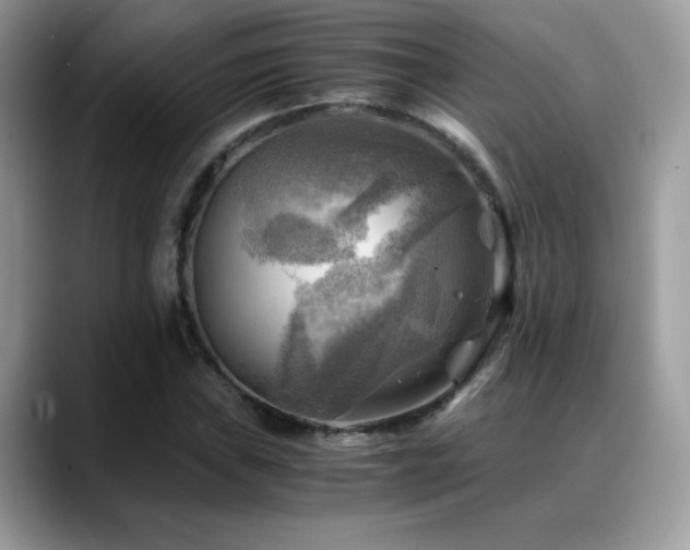 X0000088861019200706081149