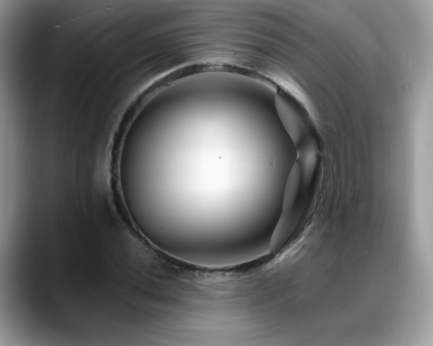X0000088861020200706081149