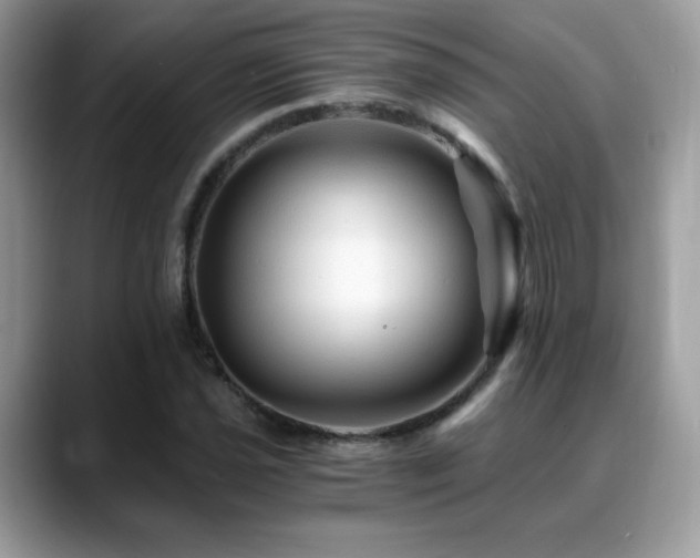 X0000088861021200706081149