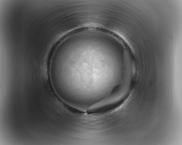 X0000088861022200706081149