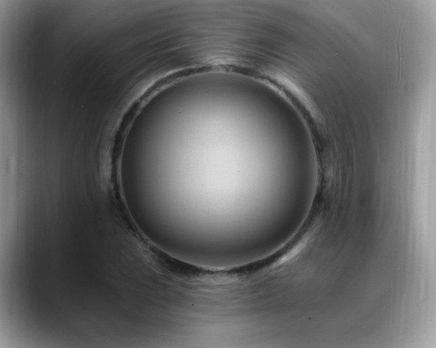 X0000088861023200706081149