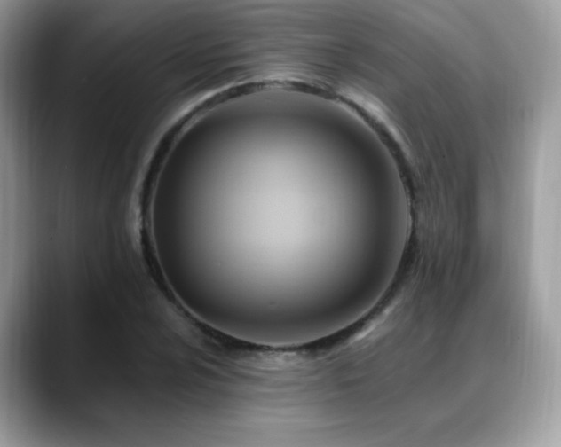 X0000088861024200706081149