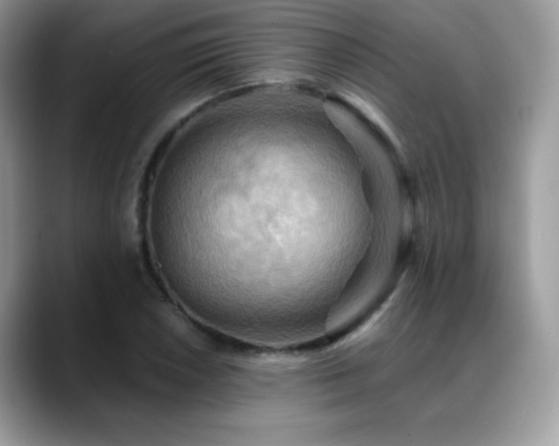 X0000088861026200706081149