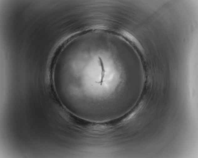 X0000088861027200706081149
