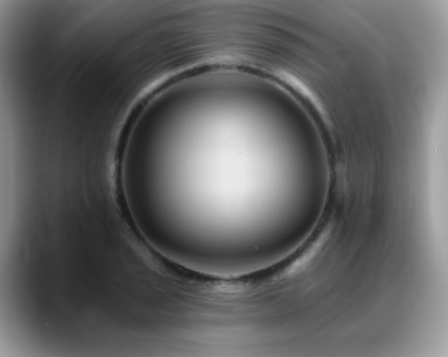 X0000088861029200706081149