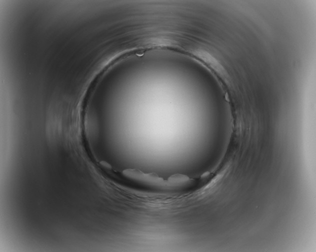 X0000088861031200706081149