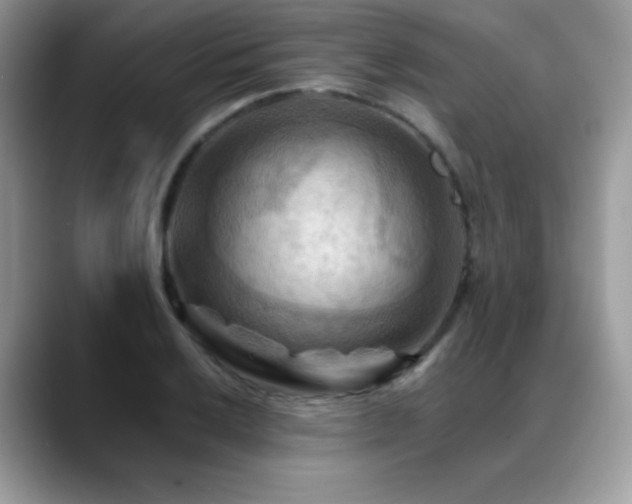 X0000088861032200706081149