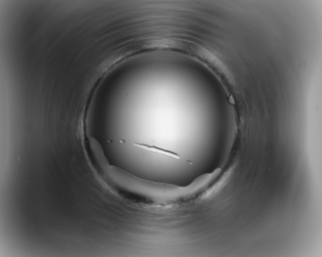 X0000088861033200706081149