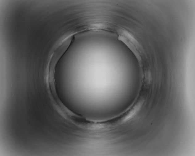 X0000088861034200706081149