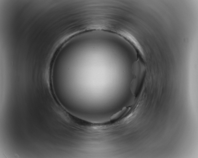X0000088861035200706081149