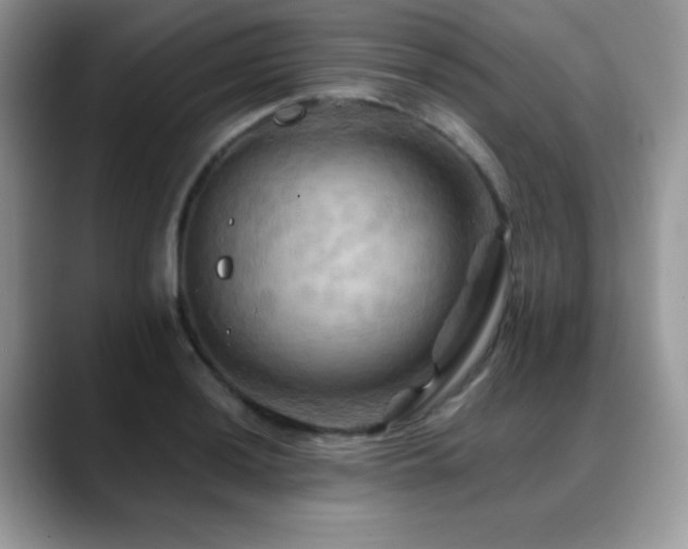 X0000088861036200706081149