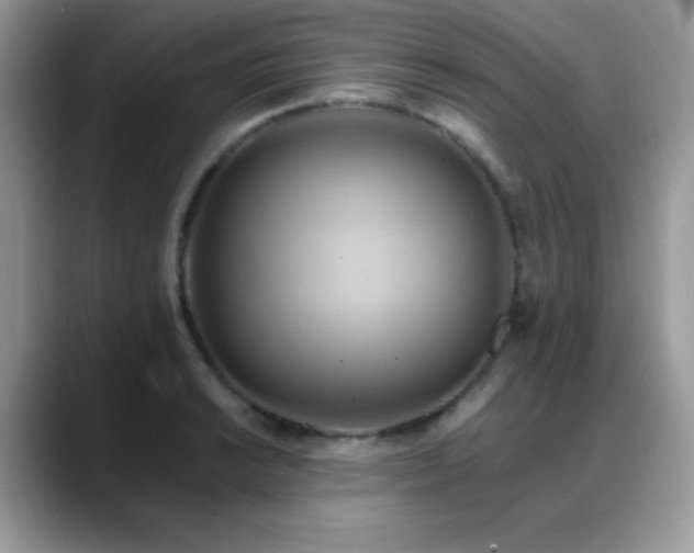 X0000088861038200706081149