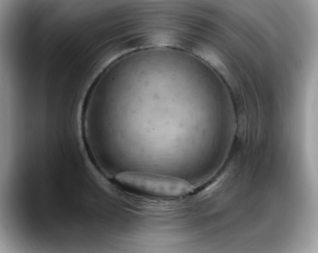 X0000088861039200706081149