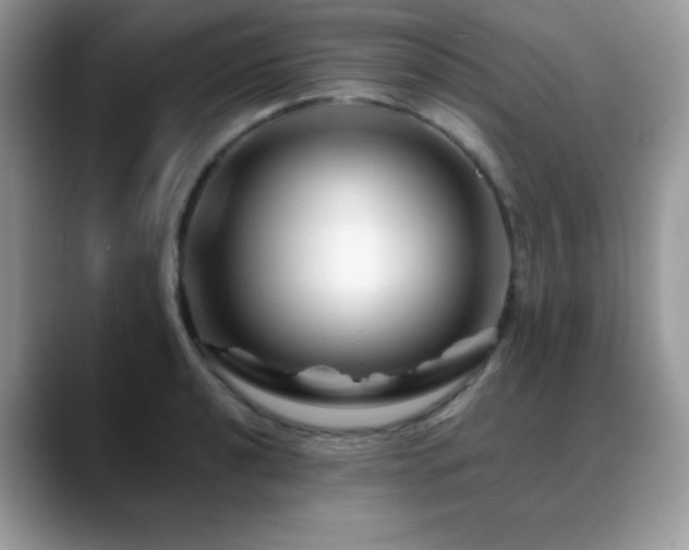 X0000088861040200706081149