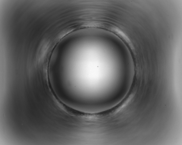 X0000088861041200706081149