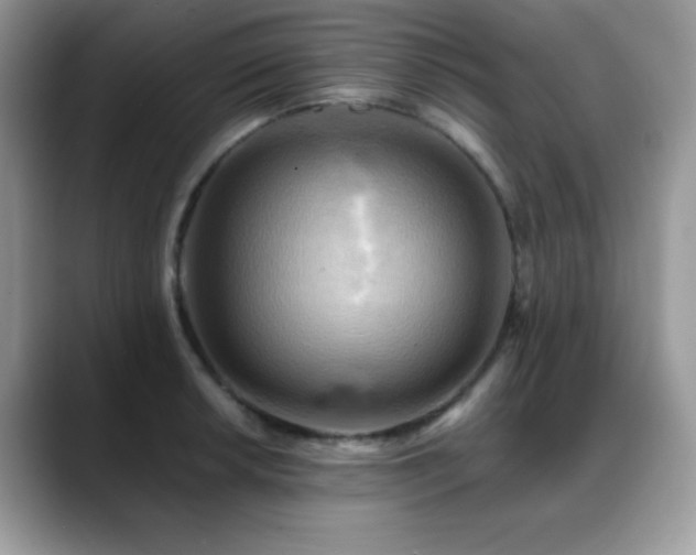 X0000088861042200706081149