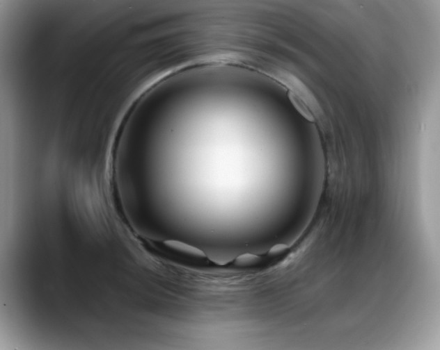 X0000088861044200706081149