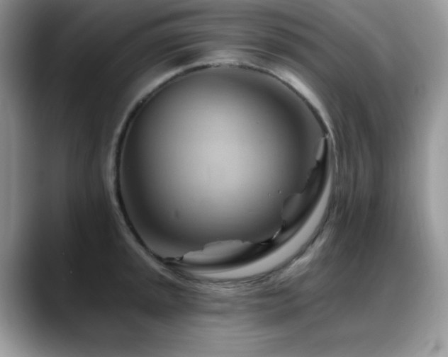 X0000088861045200706081149