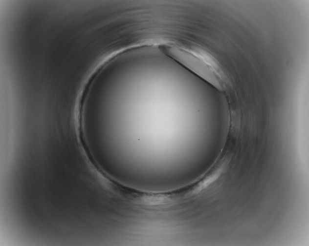 X0000088861046200706081149