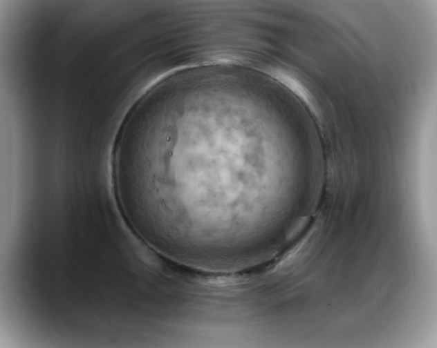 X0000088861047200706081149