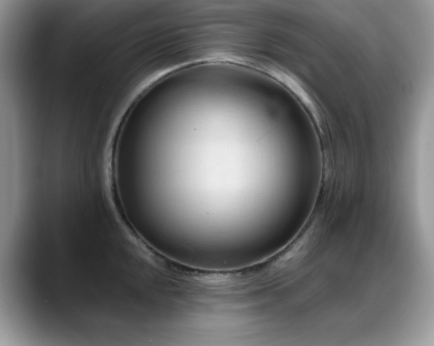 X0000088861048200706081149