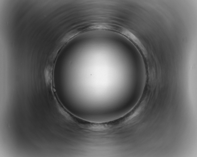 X0000088861049200706081149