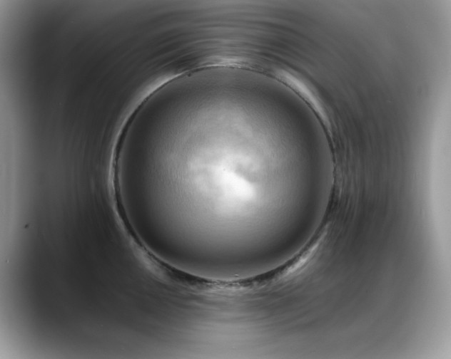 X0000088861050200706081149
