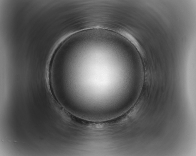 X0000088861051200706081149