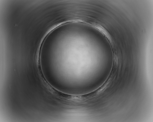 X0000088861052200706081149