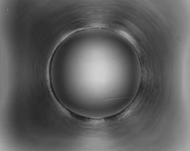 X0000088861055200706081149