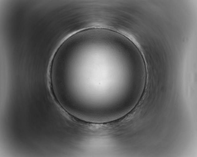 X0000088861056200706081149