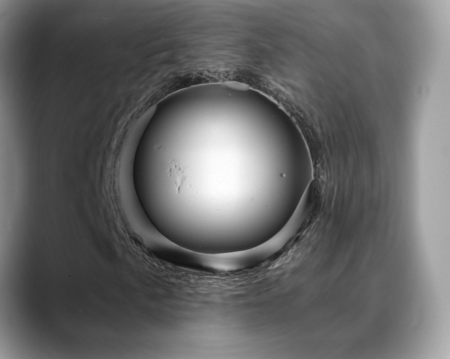 X0000088861057200706081149