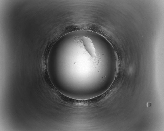 X0000088861058200706081149