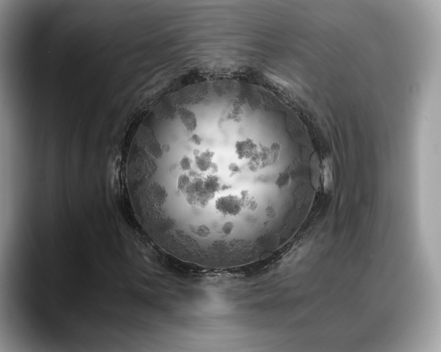 X0000088861059200706081149