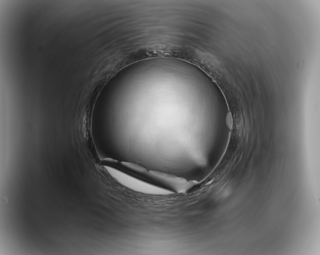 X0000088861060200706081149