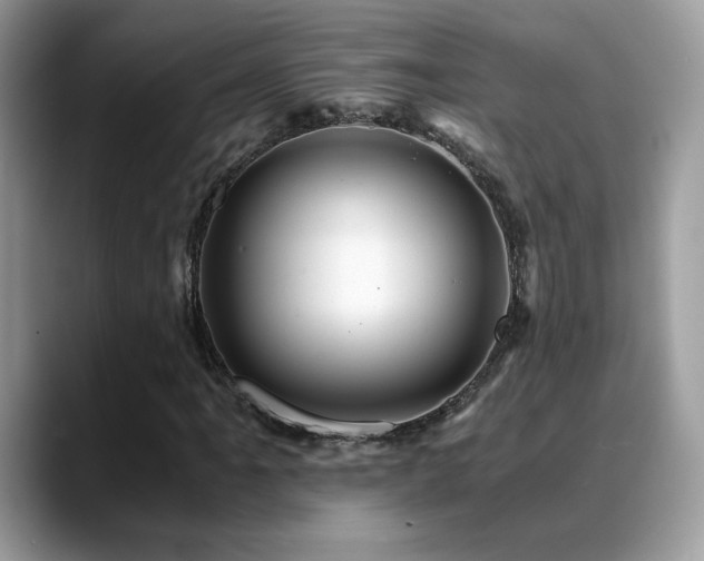 X0000088861061200706081149