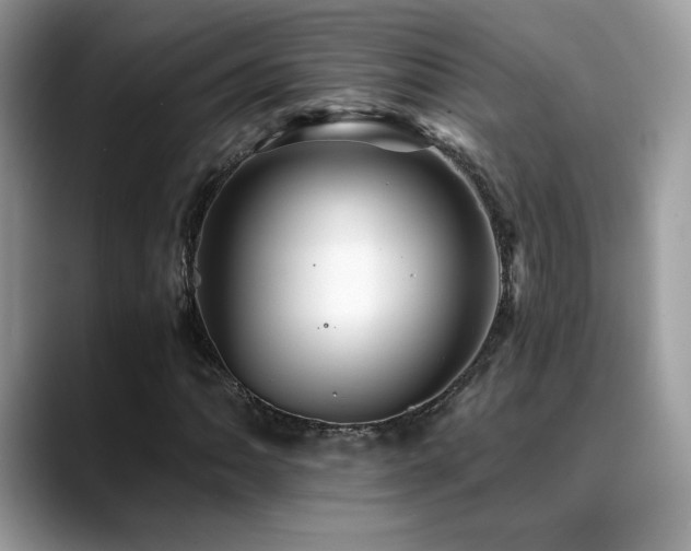 X0000088861062200706081149