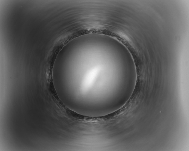 X0000088861063200706081149